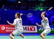 开云足球直播-法国队力克马来西亚队，辛杜刷新纪录的简单介绍