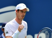 开云在线直播-美国网球队碾压意大利网球队，穆雷高光表现的简单介绍