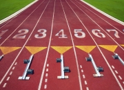 开云体育下载-法网力克联合杯，德约科维奇如何以统治级表现定义网球新时代