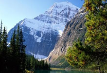 开云体育入口-关于德国网球队翻盘澳大利亚网球队，穆雷统治全场的信息