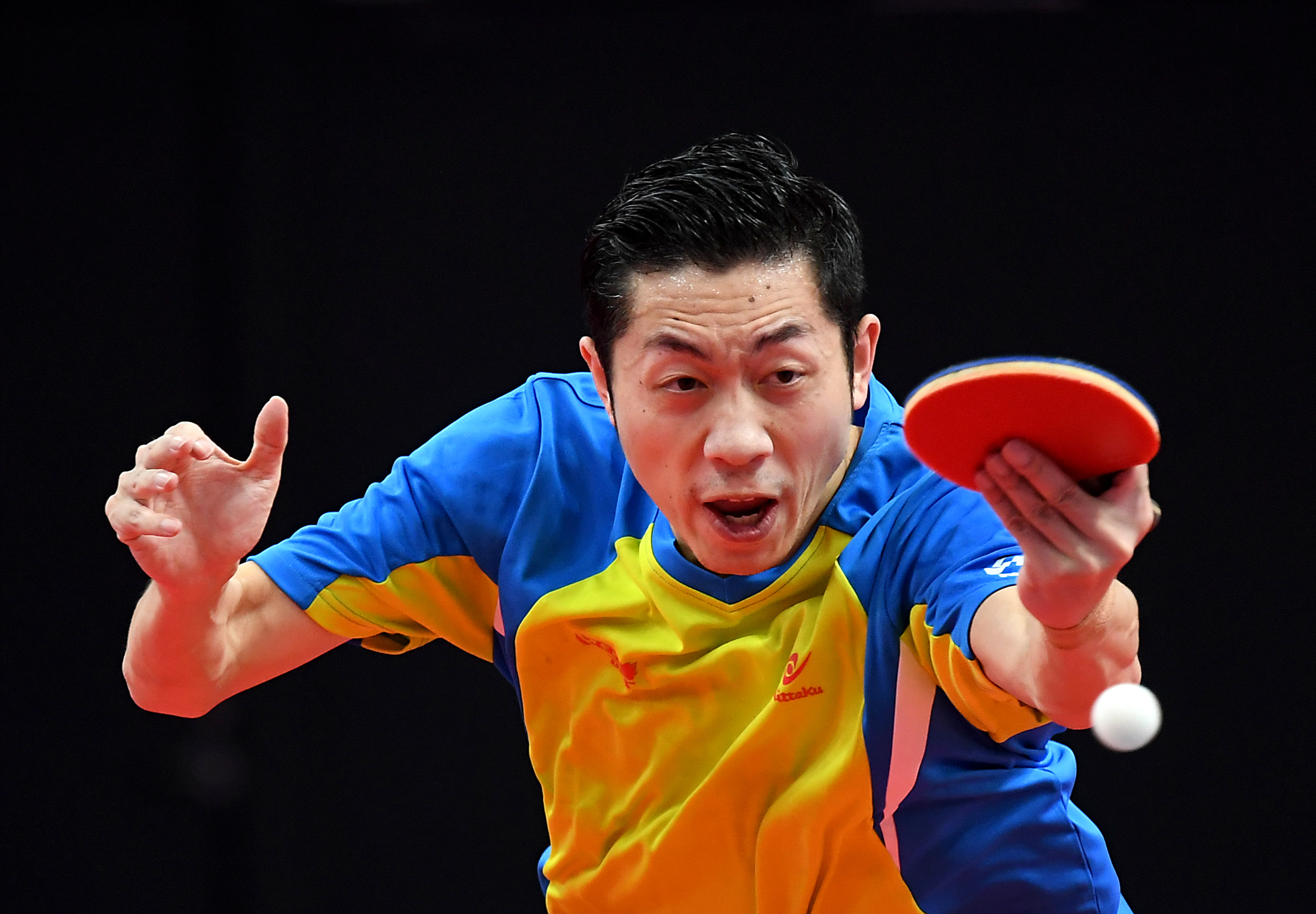 波兰乒乓球队强势瑞典乒乓球队，许昕打破历史纪录的简单介绍