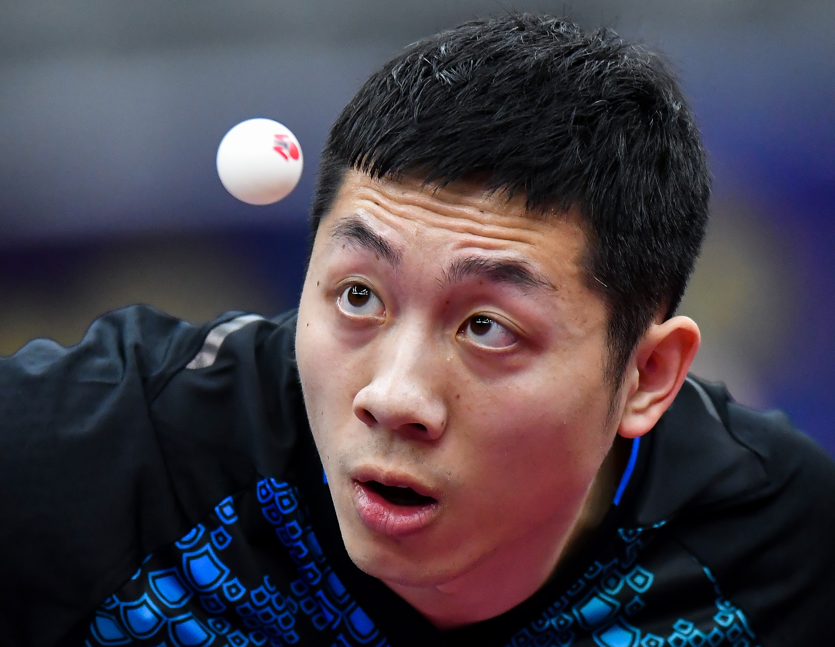 波兰乒乓球队强势瑞典乒乓球队，许昕打破历史纪录的简单介绍