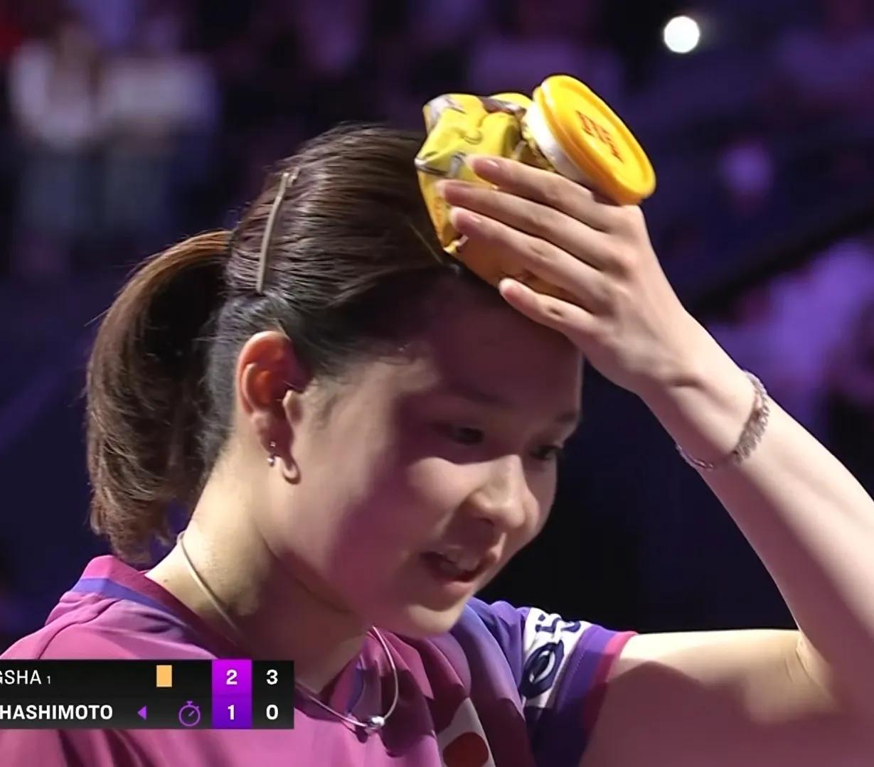 法国羽毛球队绝杀韩国羽毛球队，马琳绝境逆转的简单介绍