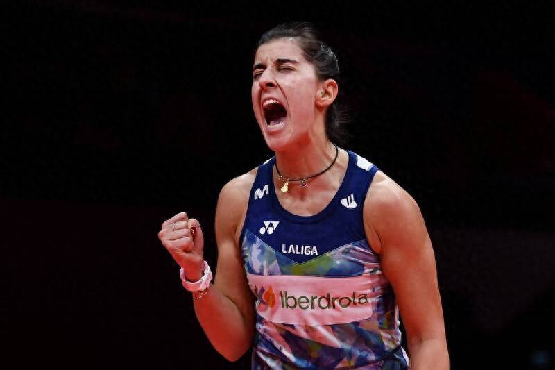 法国羽毛球队绝杀韩国羽毛球队，马琳绝境逆转的简单介绍