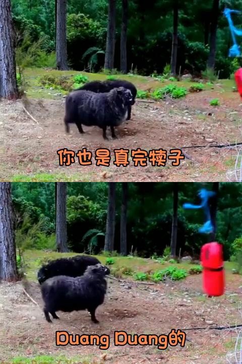 关于实力对比暗藏玄机，新赛季火药味十足的信息