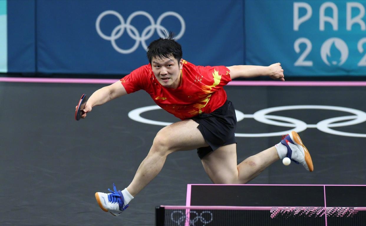 日本乒乓球队完胜法国乒乓球队，樊振东高光表现的简单介绍