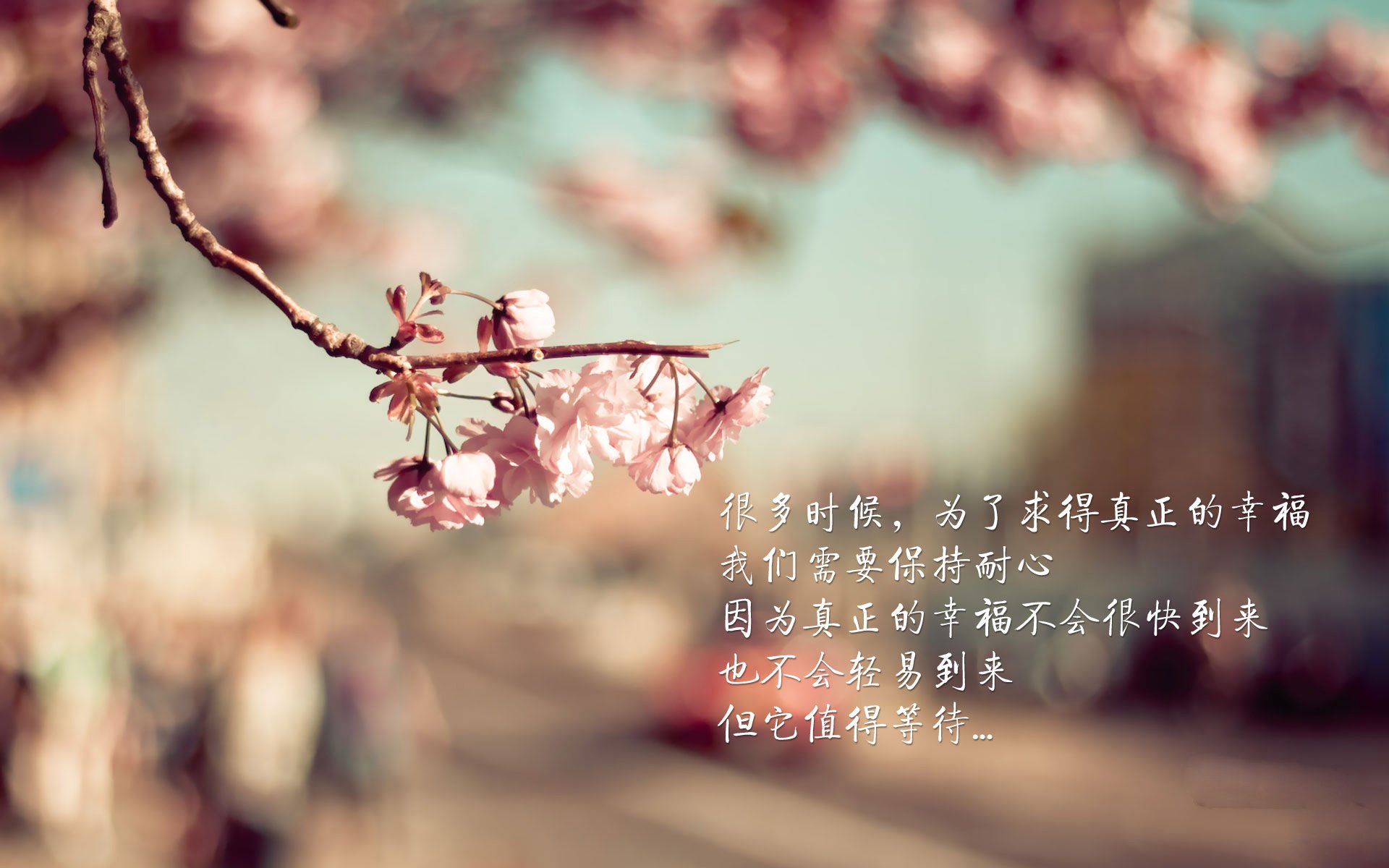 艺术与钢铁的交响，佛罗伦萨式防守锁死沙漠之狐，迪亚斯于西决绝境奏响独舞